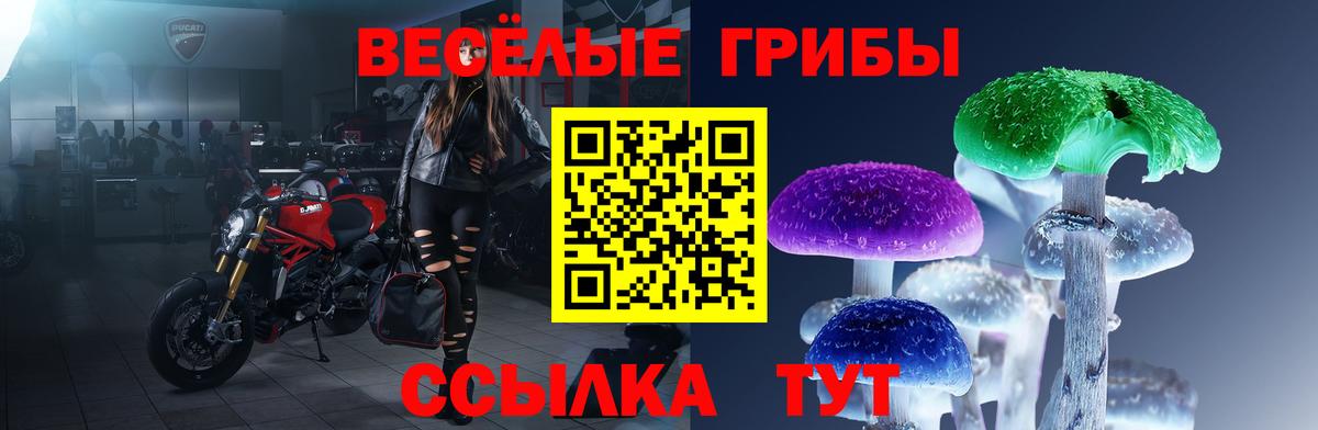 Керчь  Галлюциногенные грибы мицелий  Вход с VPN 
