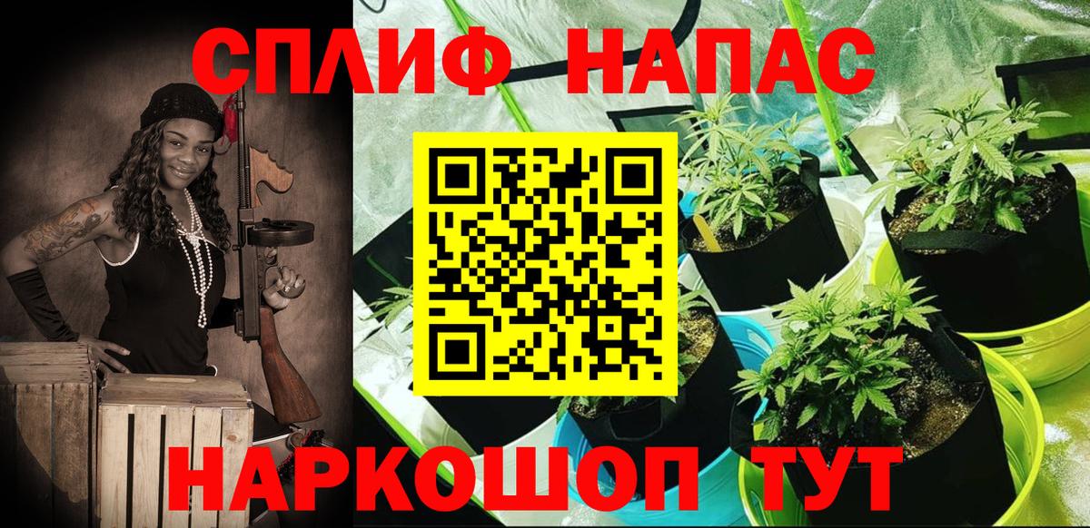 Бошки Шишки тримм Керчь